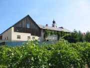 Blick vom Weingarten auf den Betrieb