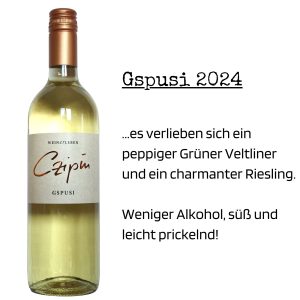 Gspusi2024